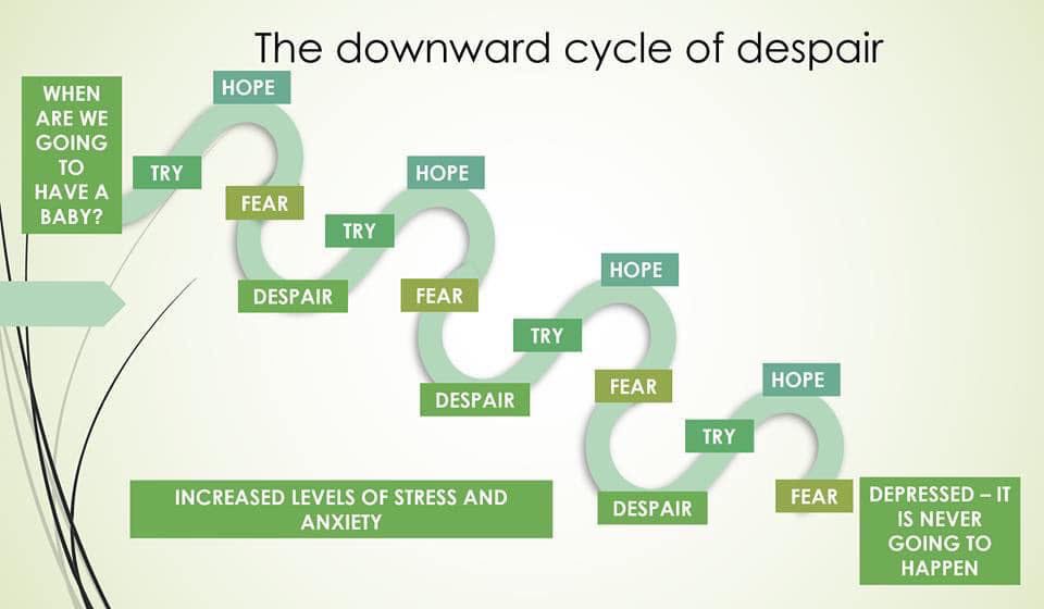 fertility cycle