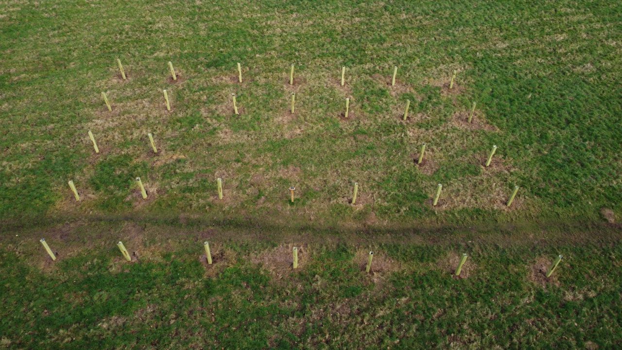 Community Orchard Aerial View_4