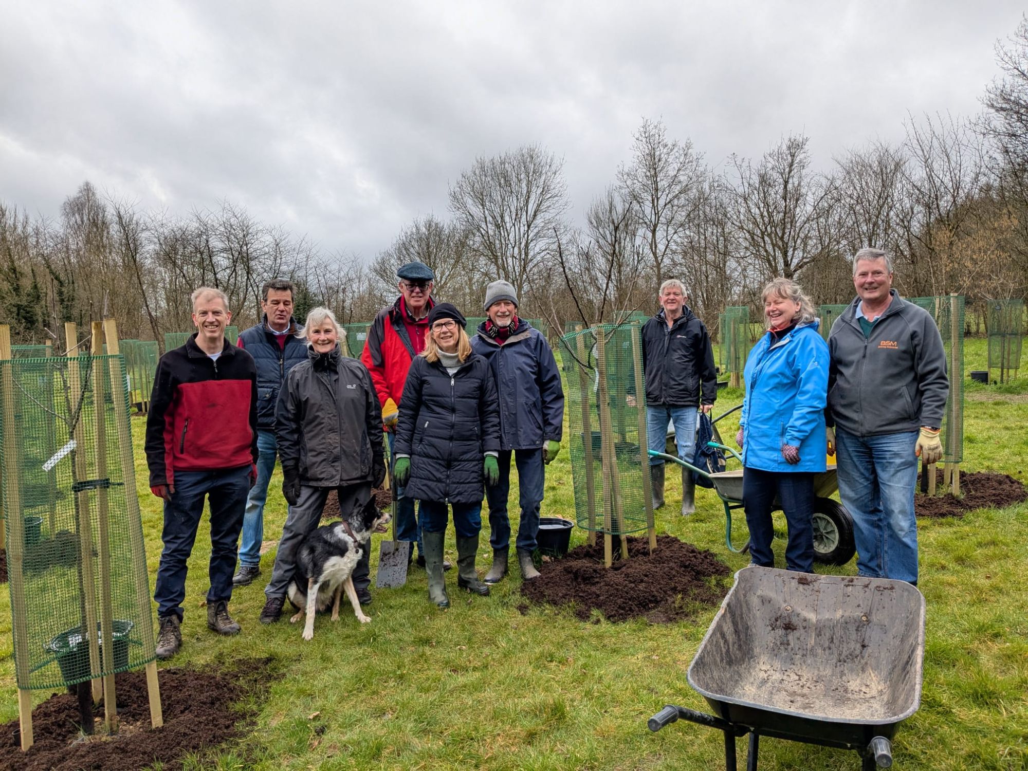 2025 Feb - mulching 1