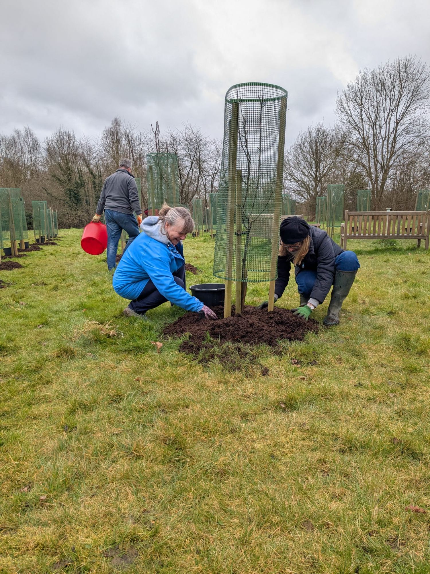 2025 Feb - mulching 3