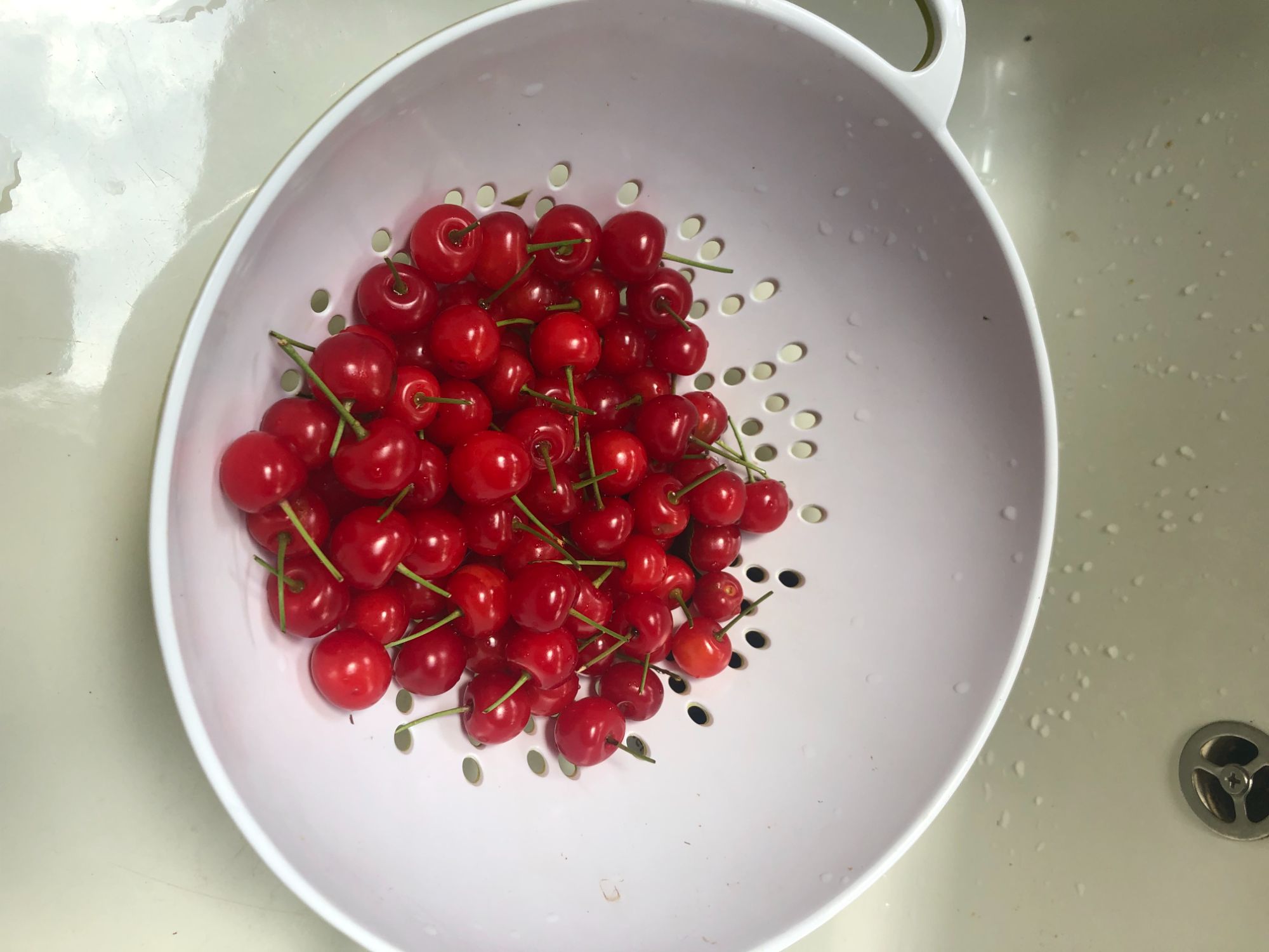 2025 June 23 - cherries