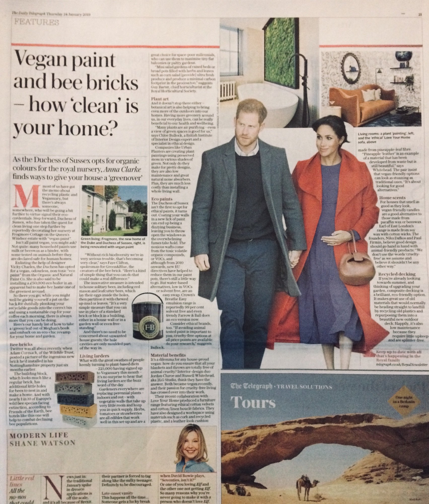 The Telegraph article