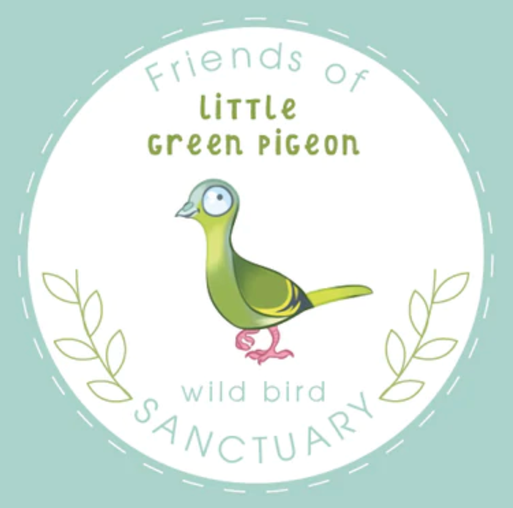 little green pigeon SANCTUARY