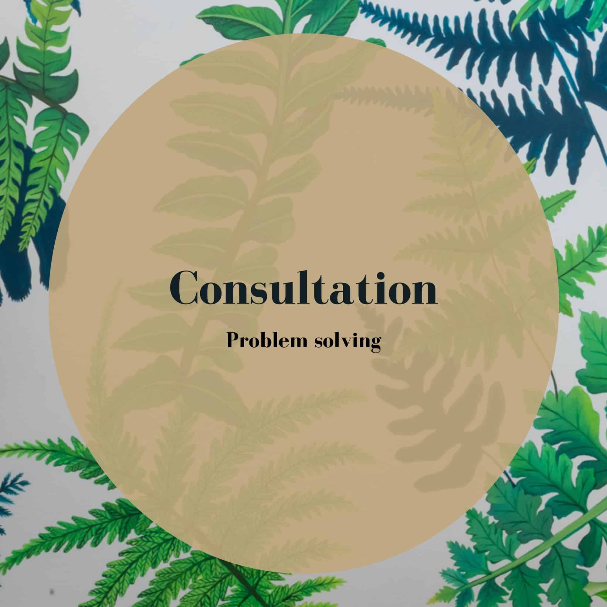 Consultation