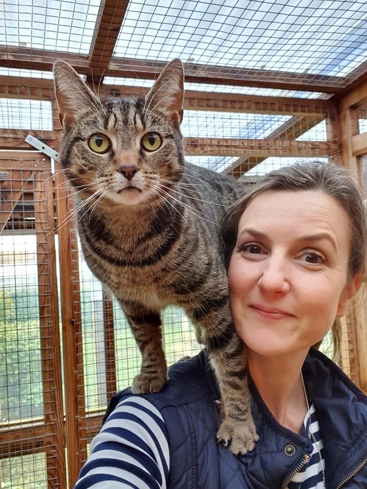 Nicola Bowers, owner of Kingstone Pet Boarding, with an inquisitive feline guest