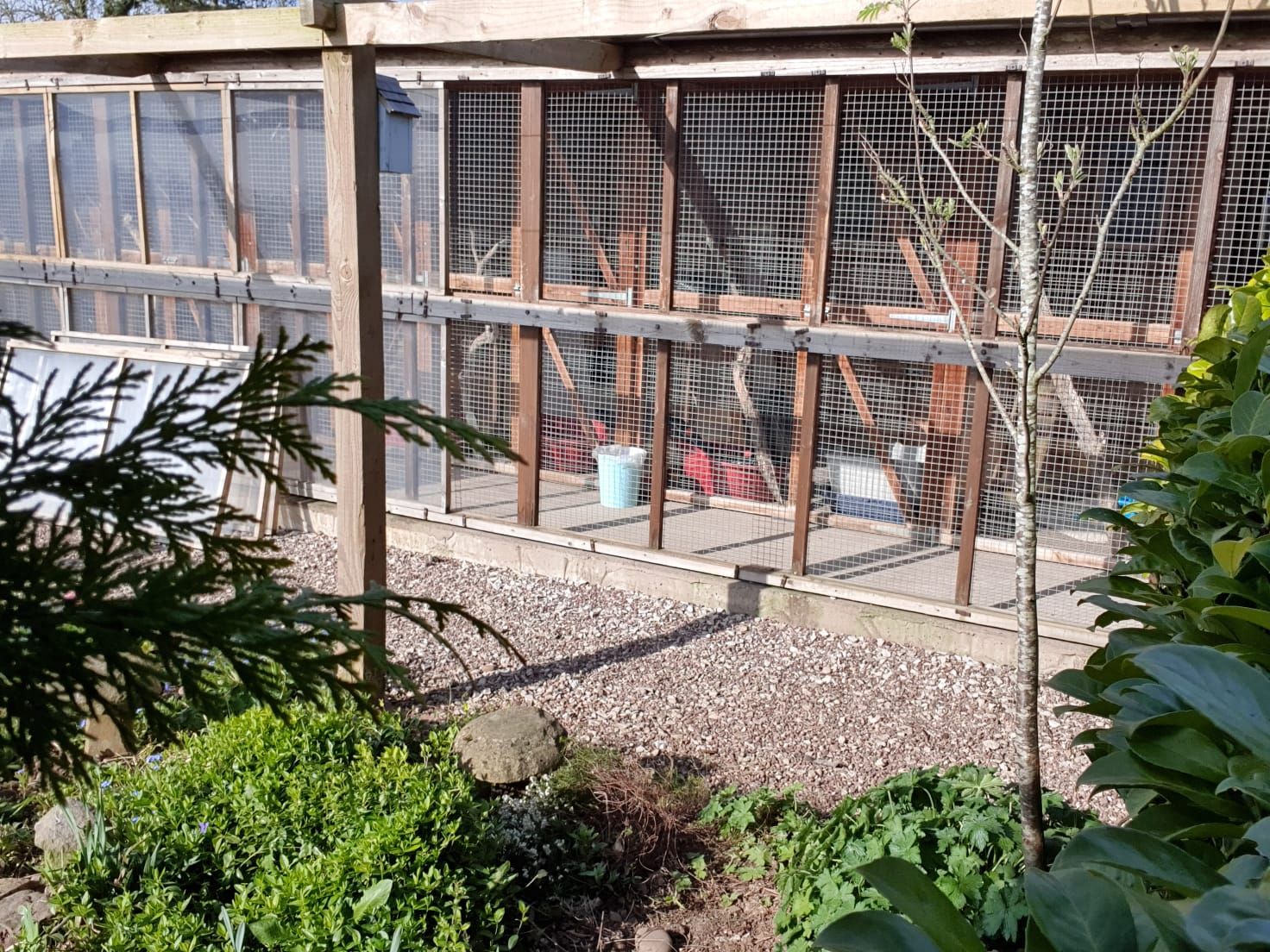 Our cattery looks out onto the garden on our rural Staffordshire property