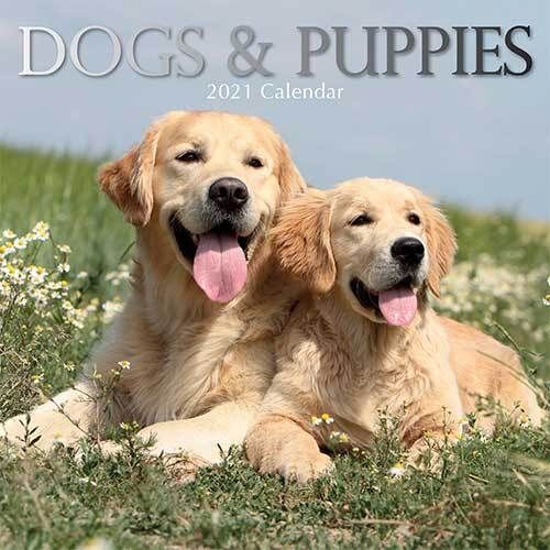 Dogs & Puppies 2021 - 16 Month Square Wall Calendar