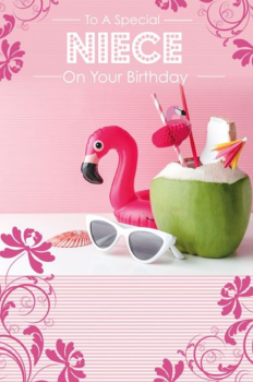 To A Special Niece On Your Birthday - Flamingo - Card