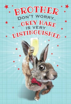Brother Don't Worry...Grey Hare Is Very Distinguished - Card