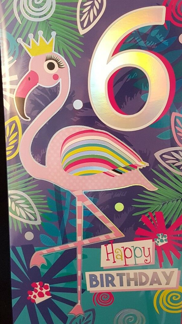 6 Today Happy Birthday - Flamingo