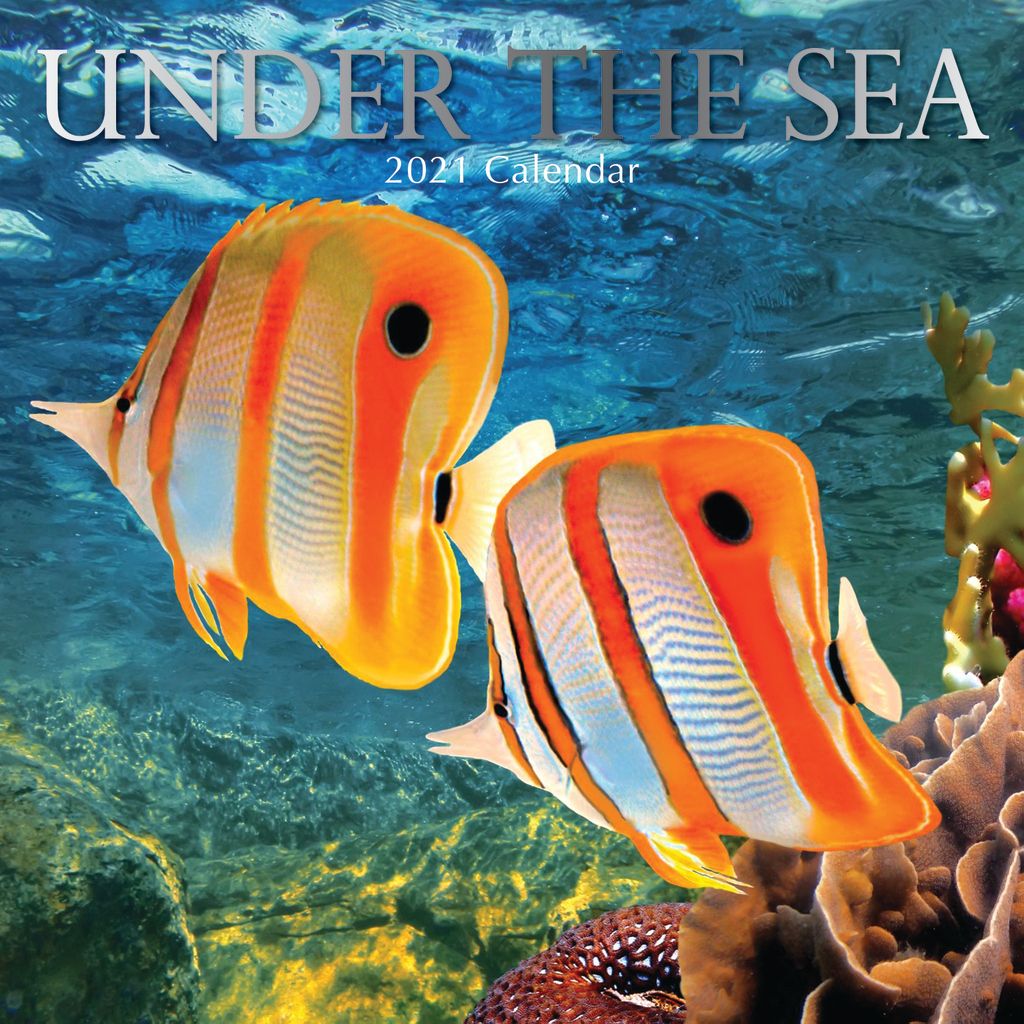 Under The Sea 2021 - 16 Month Square Wall Calendar