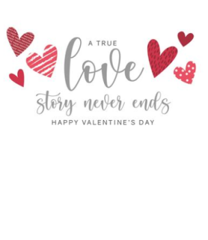 A True Love Story Never Ends Happy Valentine's Day Card