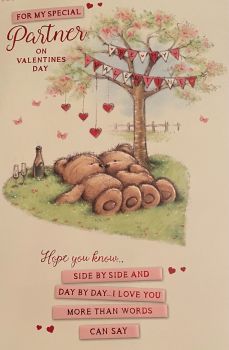 For My Special Partner On Valentine's Day - Card