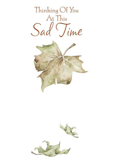 Thinking Of You At This Sad Time - Card