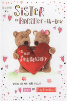 To A Lovely Sister And Brother In Law On Your Anniversary - Card