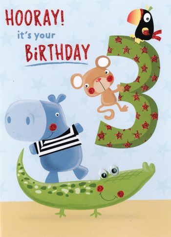  3 Hooray it's your Birthday - Card