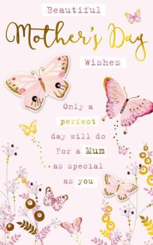 Beautiful Mother's Day Wishes Only a PERFECT day - Card