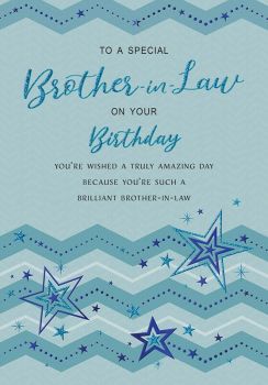 To A Special Brother In Law On Your Birthday - Card