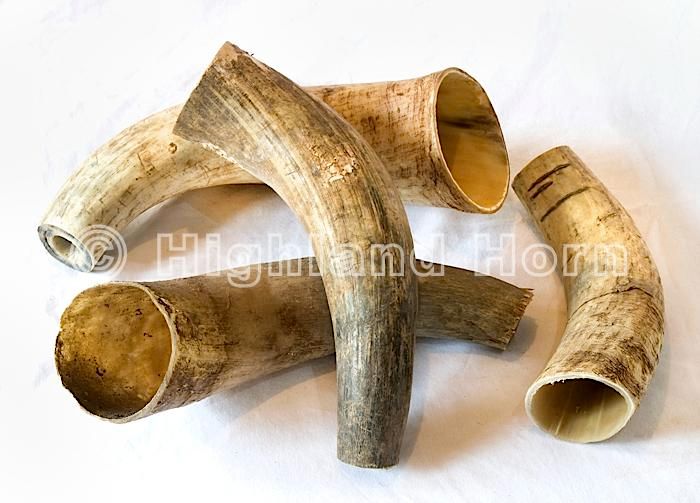 HORN AND  BONE  products