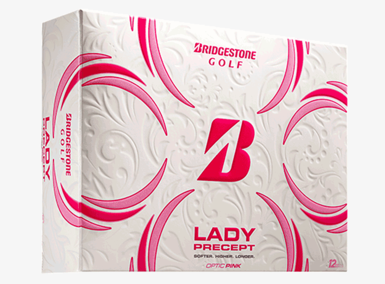 lady precept 2024 4.png