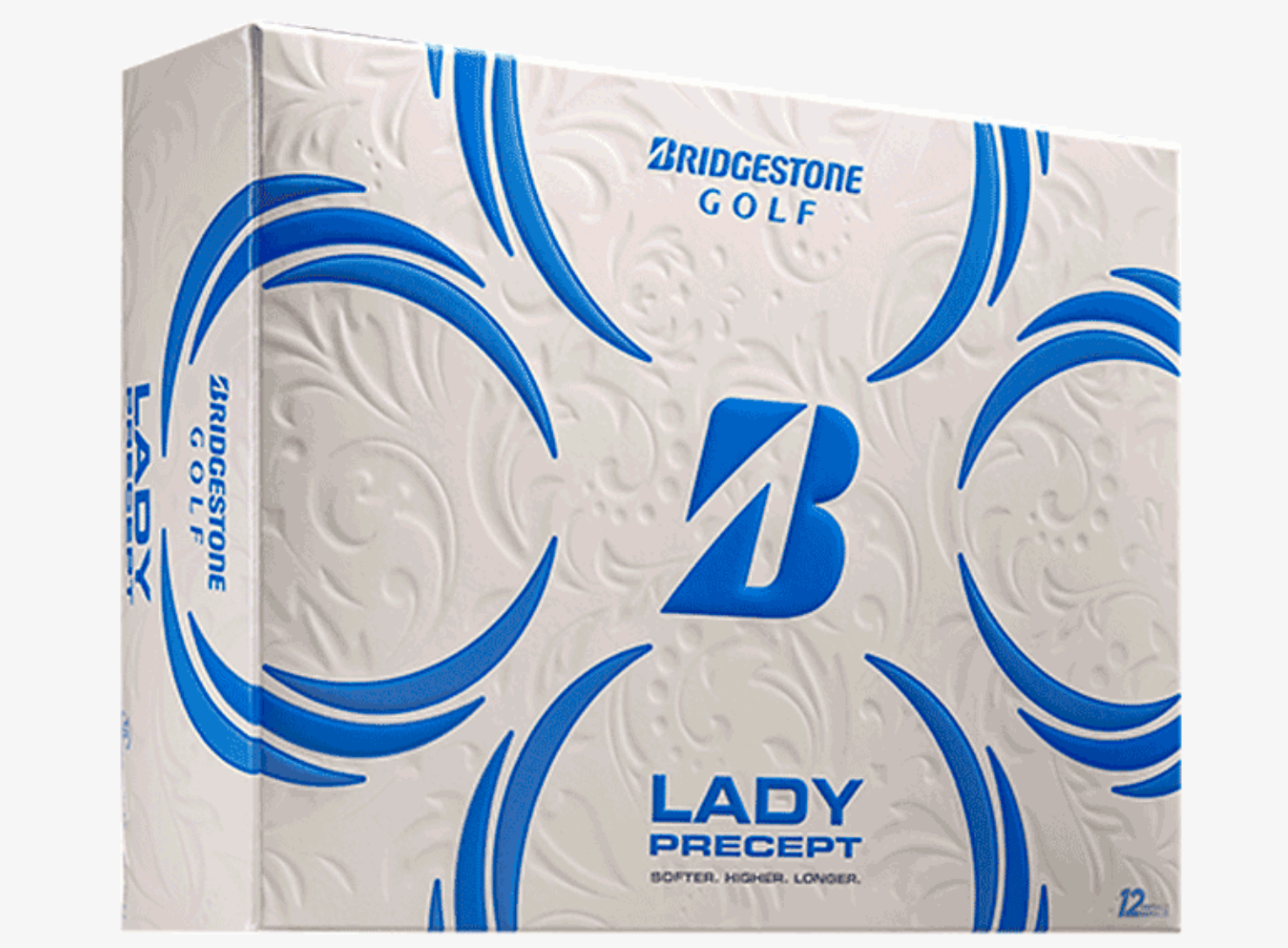 lady precept 2024 2.png