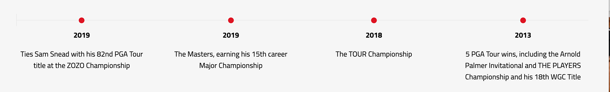 BRIDGESTONE GOLF TIGER WOODS