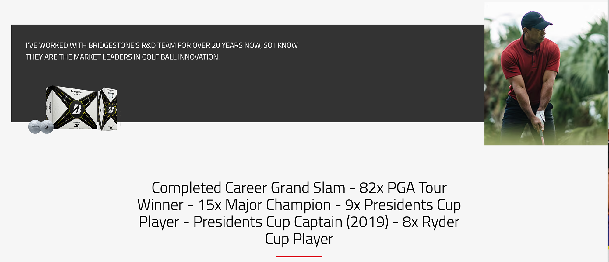 BRIDGESTONE GOLF TIGER WOODS