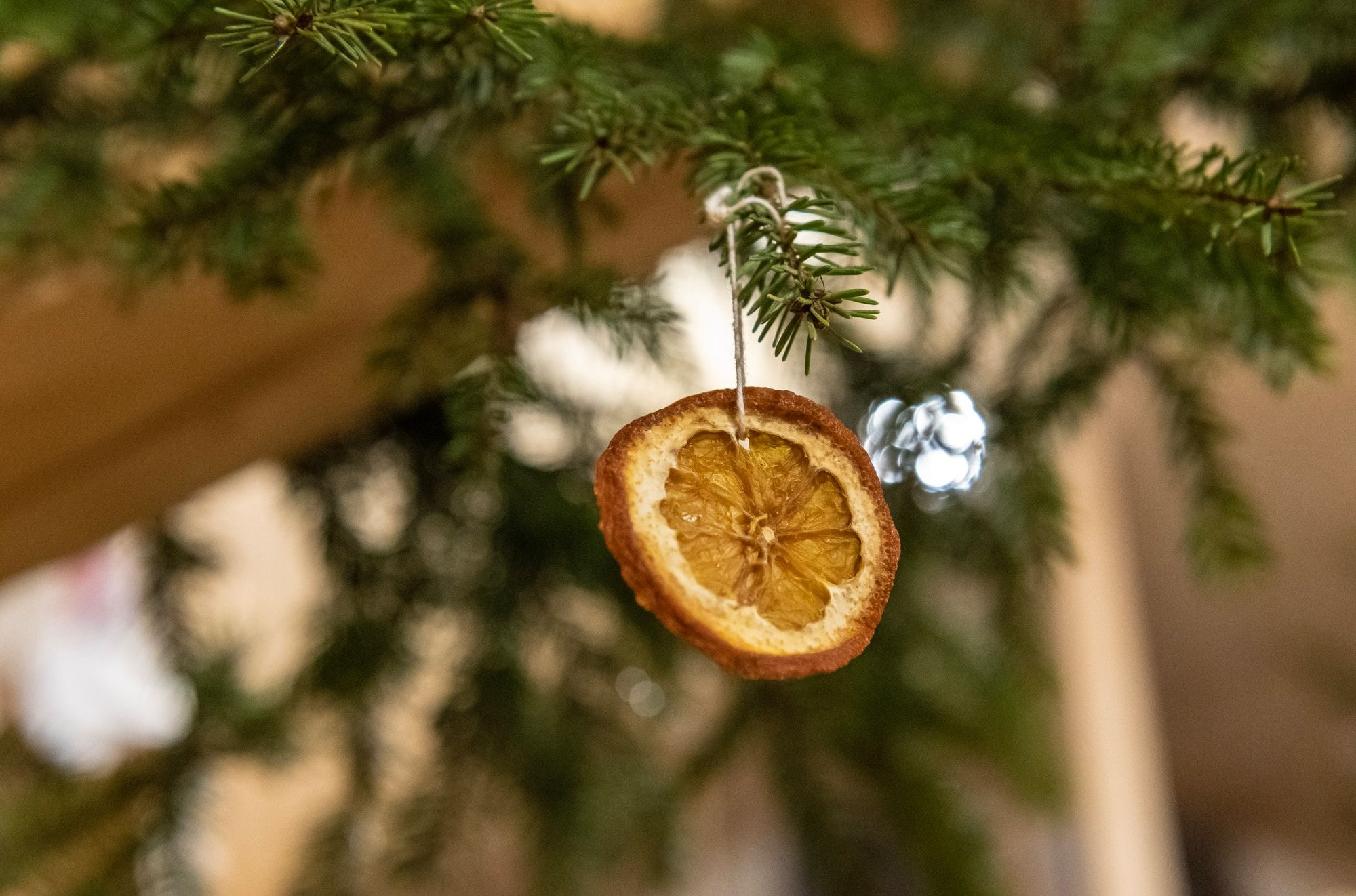 A dried slice or orange used as a Christmas tree decoration