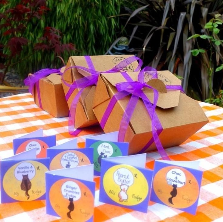 Fudge gift box 250g - Vanilla, White Chocolate & Blueberry - Lucky Cat Co.