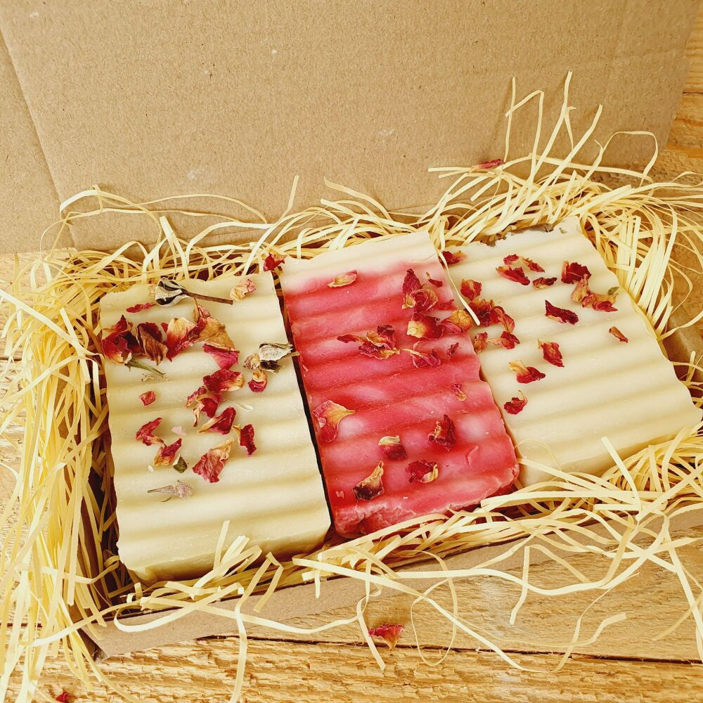 Triple Treat Soap Selection (Rosehip, Goat Milk & Argan)