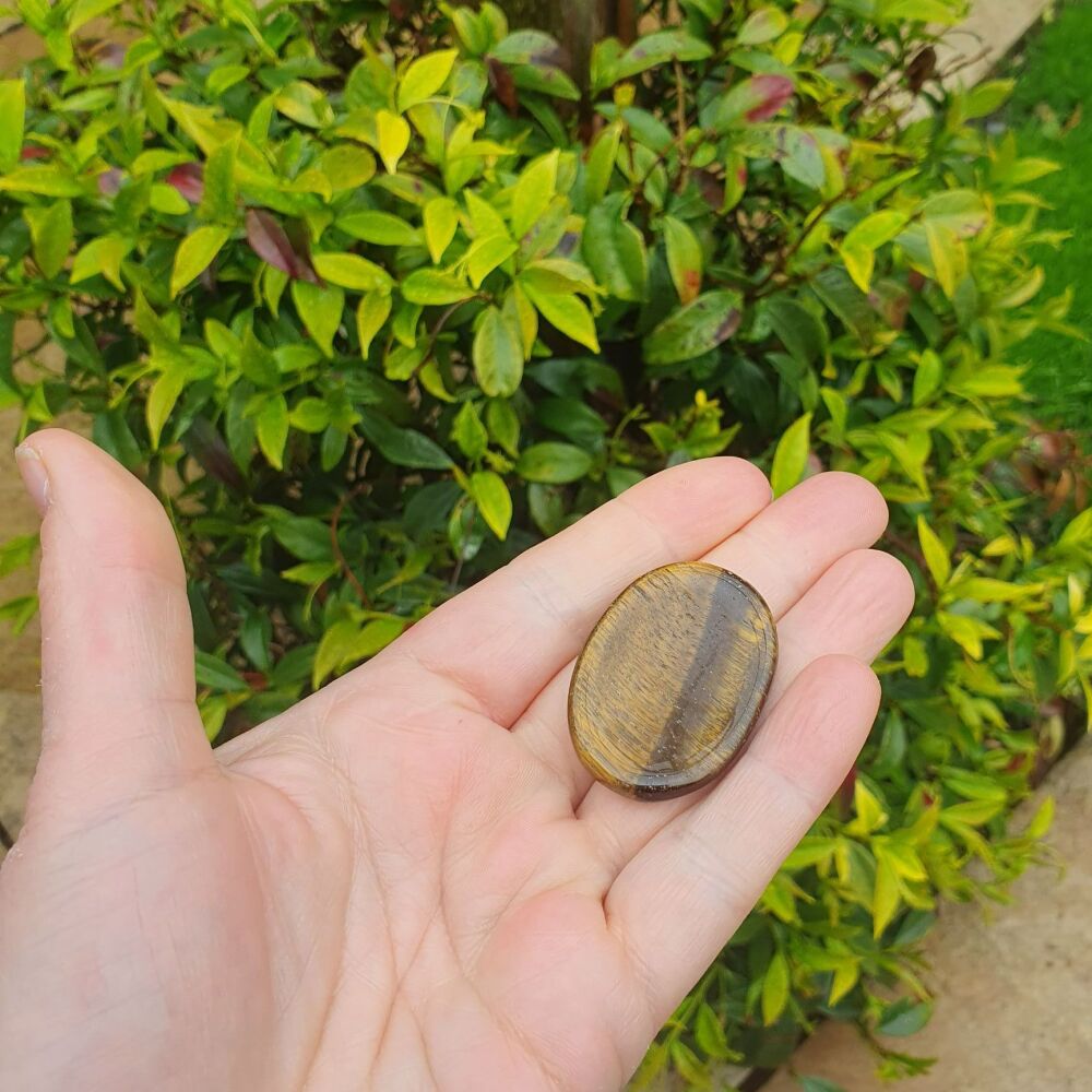 Golden Tigers Eye worry Thumb Stone