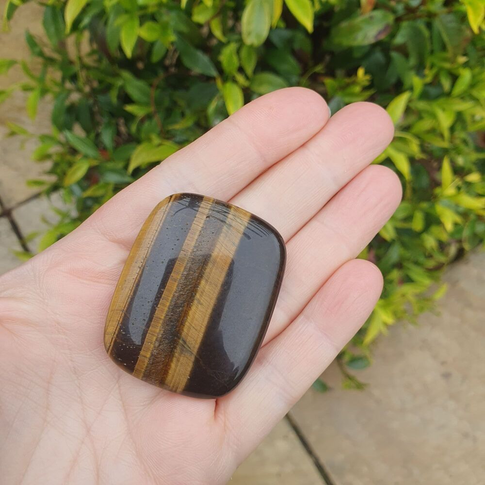Golden Tigers Eye worry palm Stone