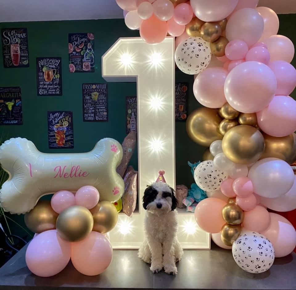 Nellie's First Birthday with light up number 1 and balloon garland with bone shaped balloon decor