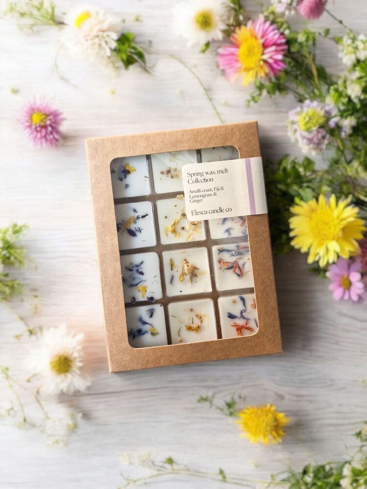 Spring wax melt collection