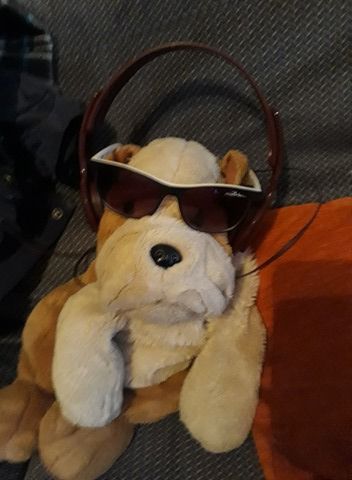 Stuffed bulldog teddy wearing headphones and sunglasses. Bob - Operations Manager.