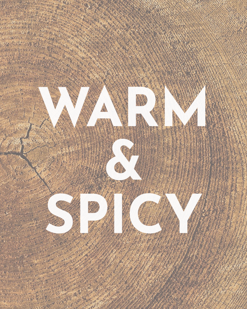 Warm & Spicy Candles