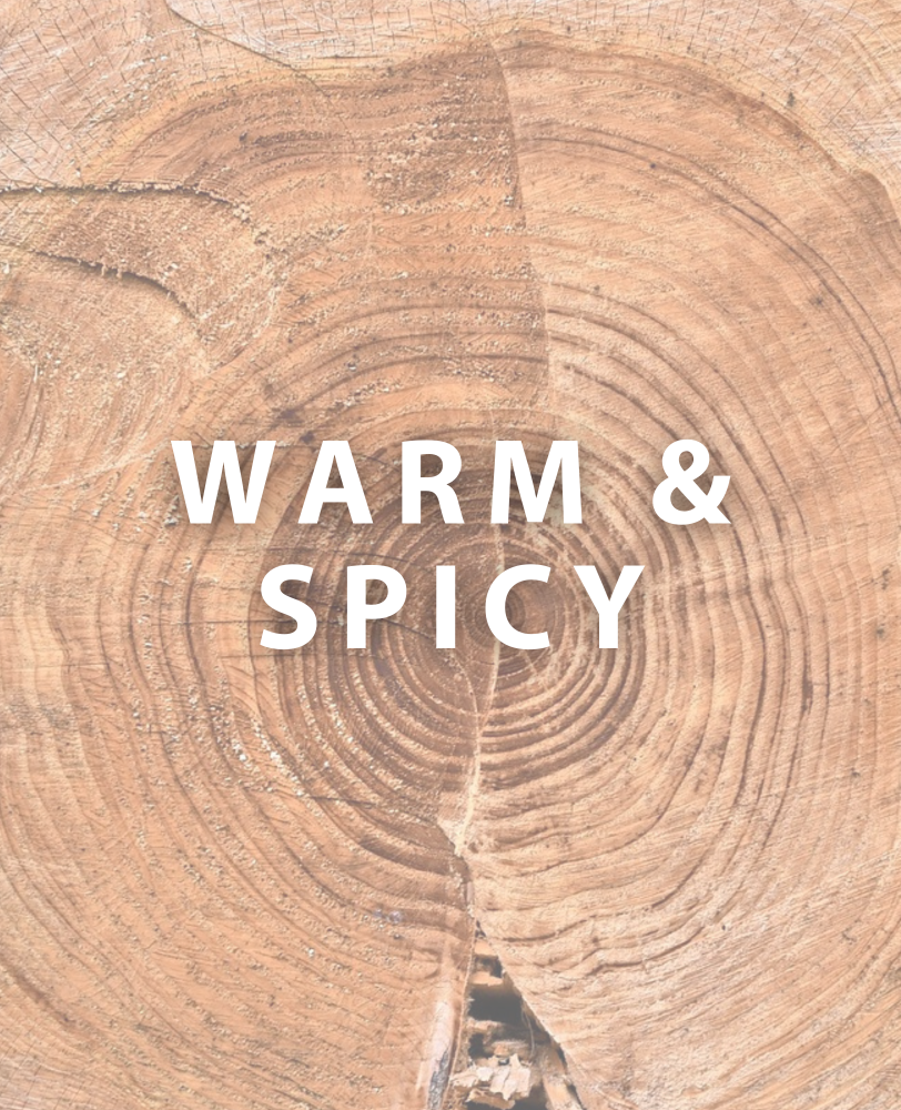 Warm & Spicy Candles
