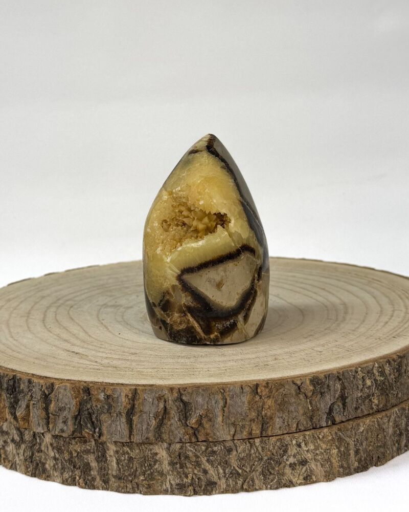Septarian Freeform