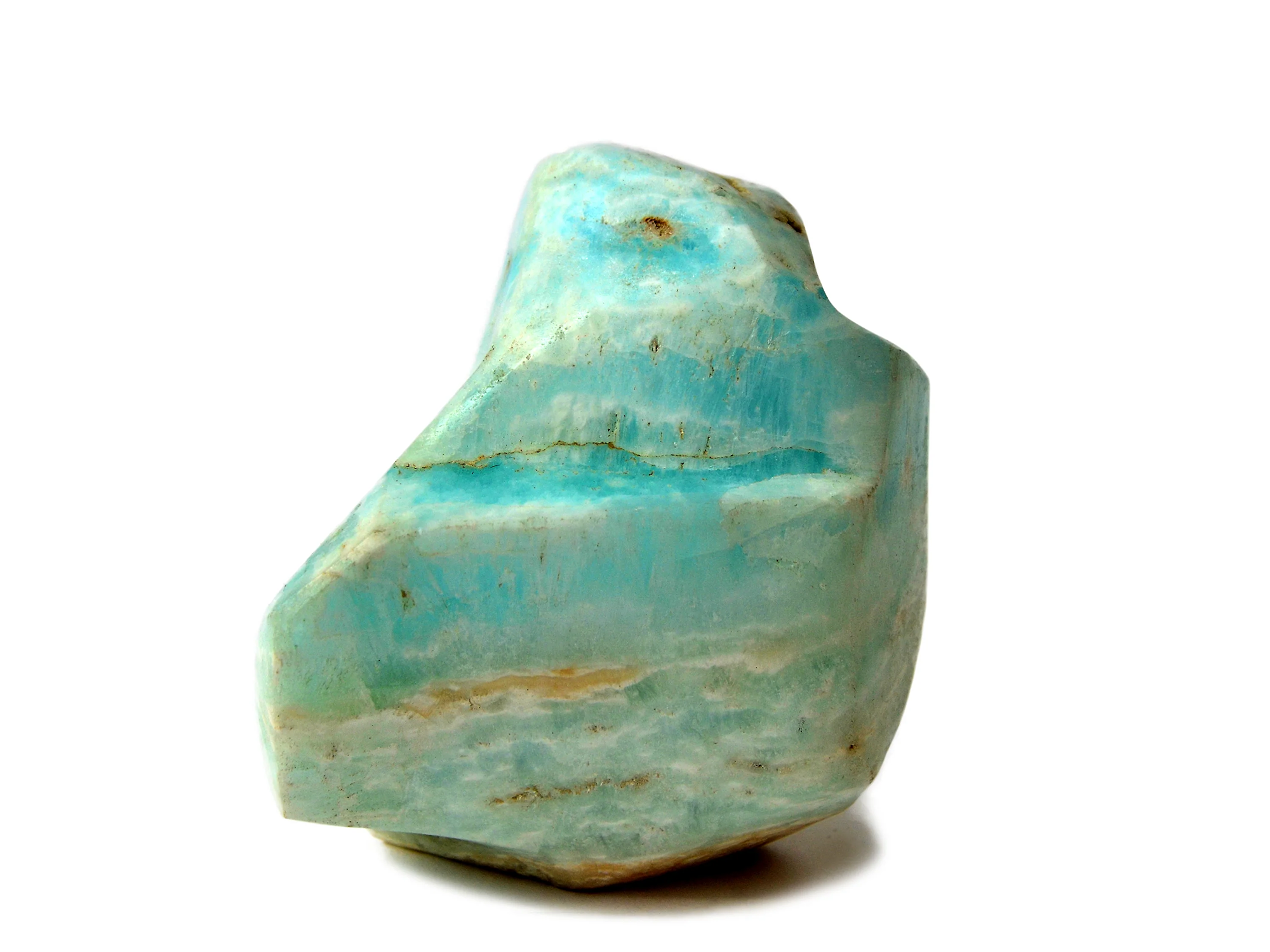 Abalone Shell