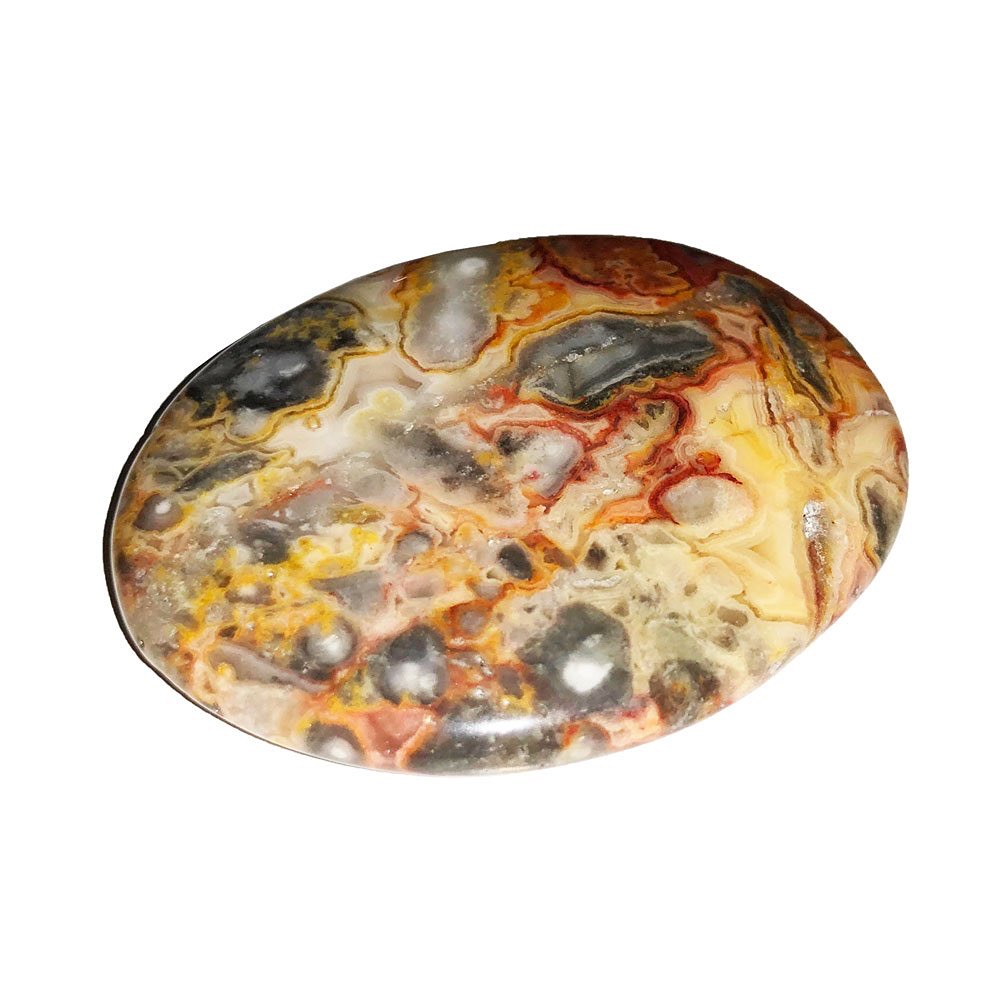 Abalone Shell