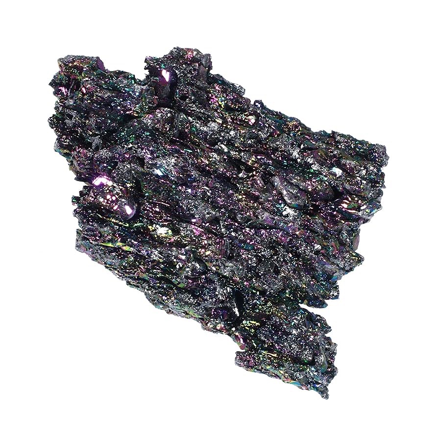 Abalone Shell