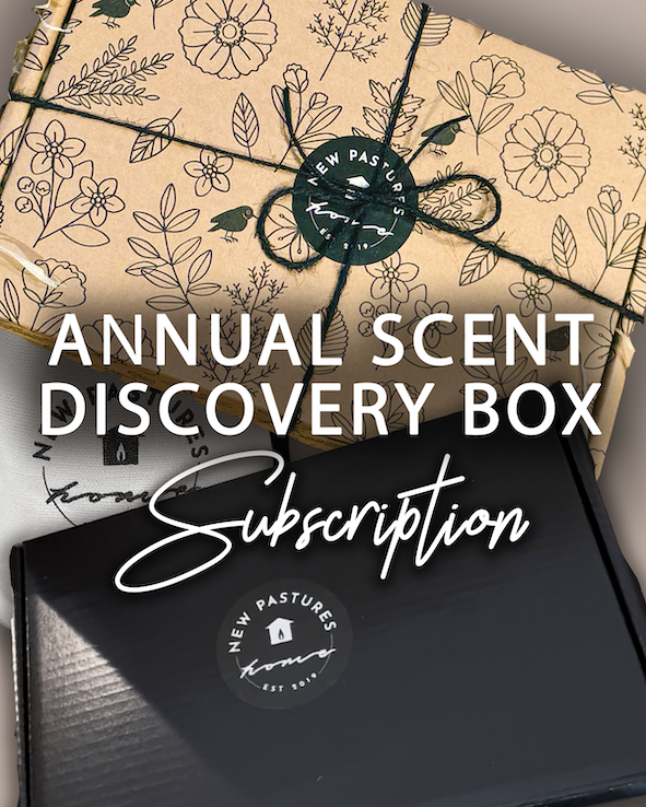 Scent Discovery Box: Annual Subscription & Christmas Gift Box (7 Boxes Tota