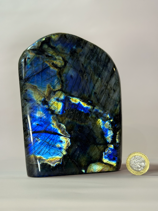 Labradorite Polished Freeform