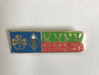 Cambs West county standard Pin badge