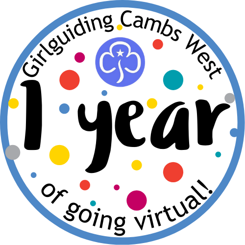 1 Year of Virtual Guiding badge - PRE SALE