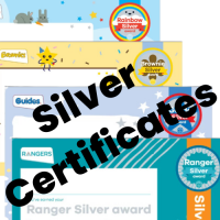 Silver award Certificates