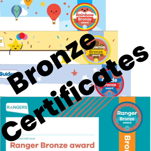 Bronze award Certificates