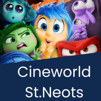 Cineworld St.Neots ticket.