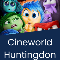 Cineworld Huntingdon ticket