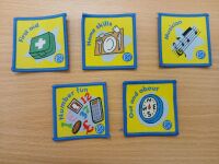 Brownie interest badges